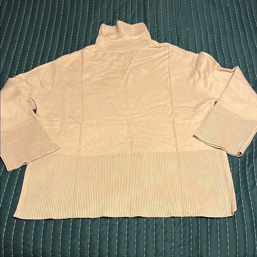 Tan oversized turtleneck sweater.